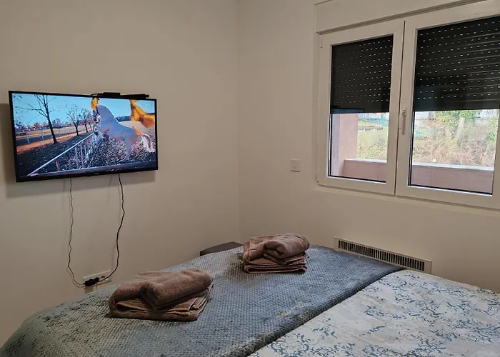 アパート Slatinski Mir *